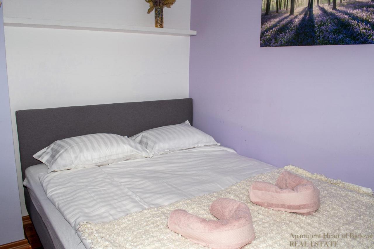 Apartment Heart Of Bjelovar Exterior foto